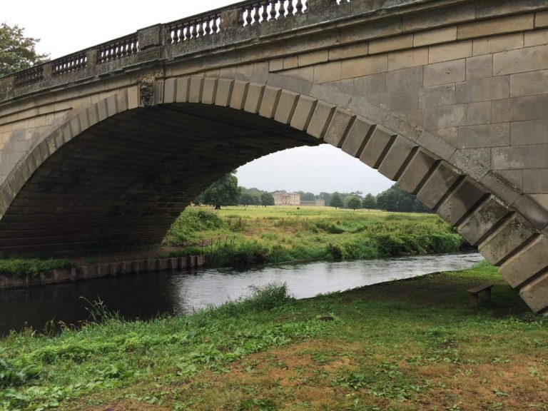 Repton ramble What's What Magazine